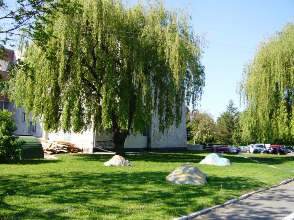 לוצק Hotel Profspilkovyi מראה חיצוני תמונה