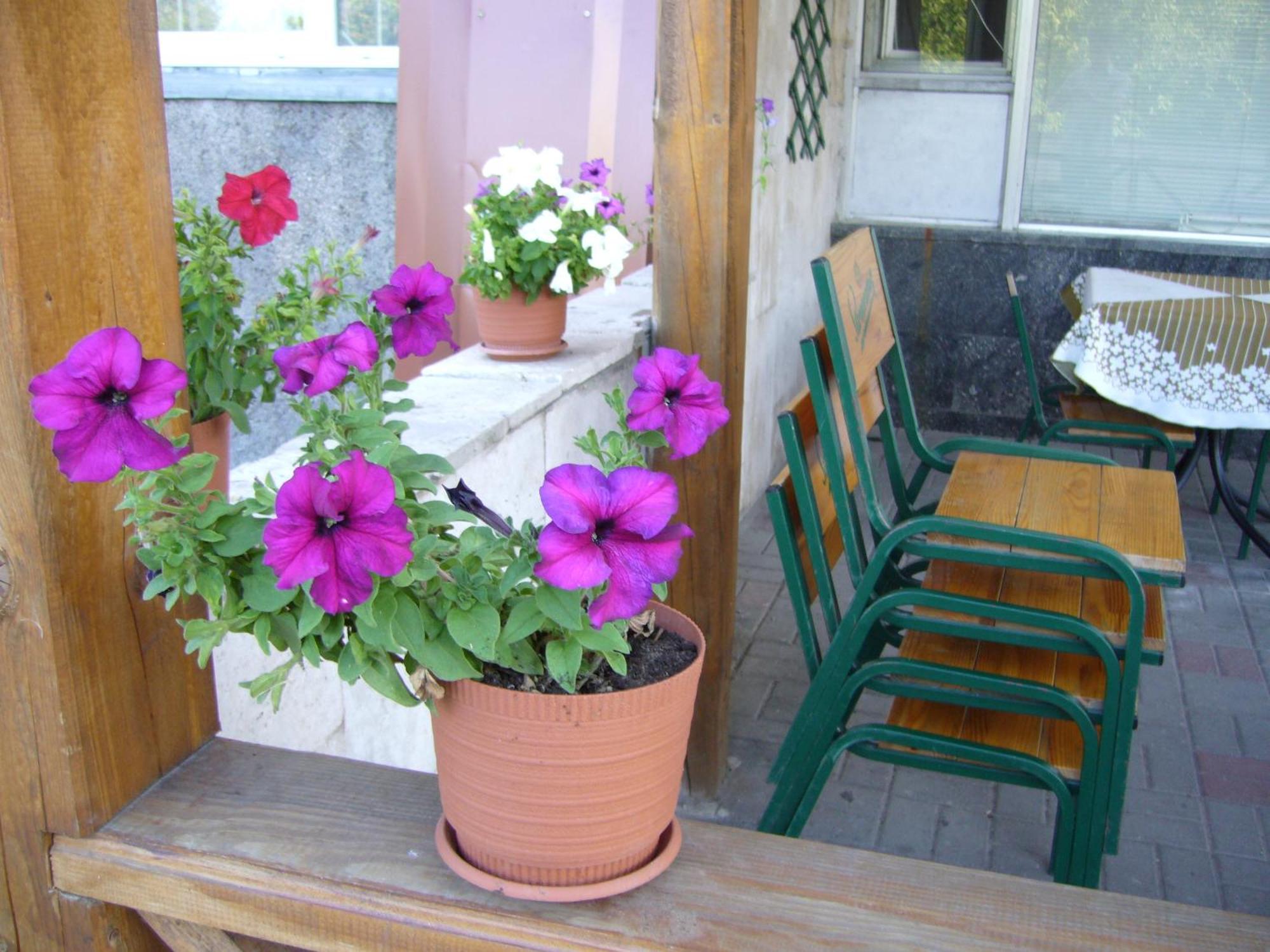 לוצק Hotel Profspilkovyi מראה חיצוני תמונה